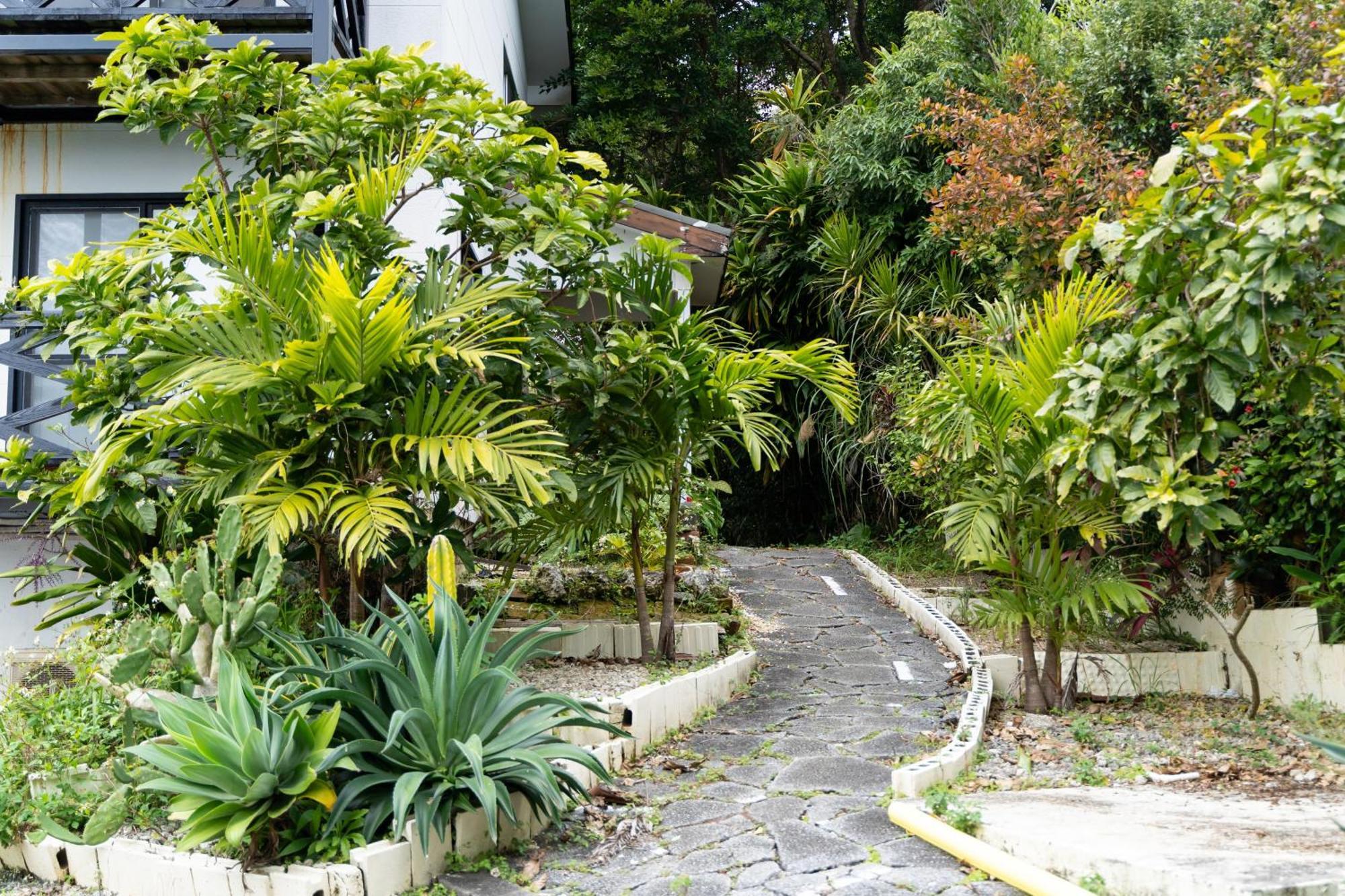 Mambo Hostel Okinawa Motobu Extérieur photo